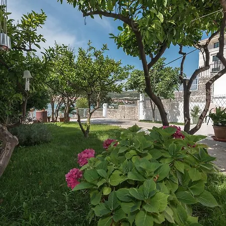 Apartment Coce *